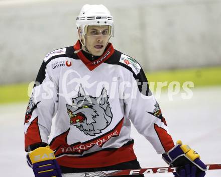 Eishockey Carinthian Hockey League CHL.  EC Tarco Woelfe Klagenfurt gegen EC Feld am See. Daniel Reiter (Tarco). Klagenfurt, am 25.2.2010.
Foto: Kuess

---
pressefotos, pressefotografie, kuess, qs, qspictures, sport, bild, bilder, bilddatenbank