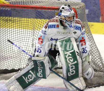 EBEL. Eishockey Bundesliga. EC Pasut VSV gegen Graz 99ers. Gert Prohaska (VSV). Villach, am 15.1.2010.
Foto: Kuess 


---
pressefotos, pressefotografie, kuess, qs, qspictures, sport, bild, bilder, bilddatenbank