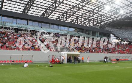 Fussball Testspiel. SK Austria Klagenfurt gegen US Palermo. Fans (Klagenfurt). Klagenfurt, am 28.7.2010.
Foto: Kuess 
---
pressefotos, pressefotografie, kuess, qs, qspictures, sport, bild, bilder, bilddatenbank