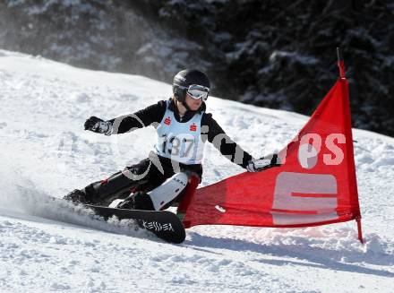 Snowboard. Oesterreichische Meisterschaft. Parallelslalom. Viktoria Stefaner (AUT). Gerlitzen, am 27.3.2010.
Foto: Kuess
---
pressefotos, pressefotografie, kuess, qs, qspictures, sport, bild, bilder, bilddatenbank