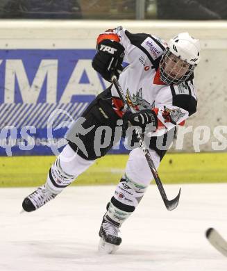 Eishockey Carinthian Hockey League. CHL. EC Tarco Woelfe gegen EC SV Spittal. Thomas Plautz (Tarco). Klagenfurt, am 5.1.2011.
Foto: Kuess
---
pressefotos, pressefotografie, kuess, qs, qspictures, sport, bild, bilder, bilddatenbank