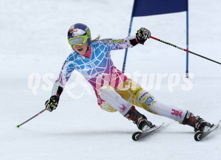 Schi Alpin. Ski Weltcup. Lindsey Vonn (USA).  Innerkrems, am 14.1.2011.
Foto: Kuess

---
pressefotos, pressefotografie, kuess, qs, qspictures, sport, bild, bilder, bilddatenbank