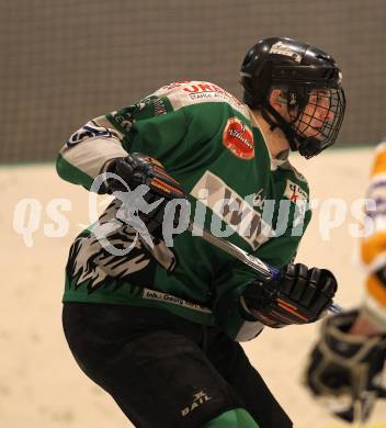 Eishockey CHL. Carinthian Hockey League. USC Velden gegen VST Adler Wild Voelkermarkt. Benjamin Reichart (Voelkermarkt). Velden, am 22.1.2011.
Foto: Kuess
---
pressefotos, pressefotografie, kuess, qs, qspictures, sport, bild, bilder, bilddatenbank