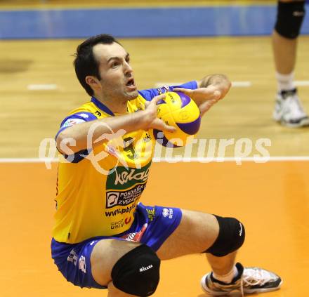 Volleyball. GM Capital Challenge Cup Men 2010/2011.  SK Posojilnica Aich/Dob (AUT)  vs VC Prefaxis MENEN (Bel). Grut Andrej (Aich/Dob). Prevalje, 1.2.2011.
Foto: Kuess

---
pressefotos, pressefotografie, kuess, qs, qspictures, sport, bild, bilder, bilddatenbank