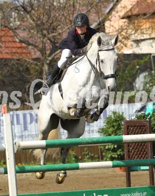 Reiten. Reit- und Springturnier. Marianne Schindele auf Coolys AJ. St. Veit, am 17.4.2011.
Foto: Kuess
---
pressefotos, pressefotografie, kuess, qs, qspictures, sport, bild, bilder, bilddatenbank