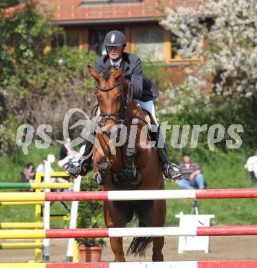 Reiten. Reit- und Springturnier. Klaus Hernler auf Bacardi 17. St. Veit, am 17.4.2011.
Foto: Kuess
---
pressefotos, pressefotografie, kuess, qs, qspictures, sport, bild, bilder, bilddatenbank