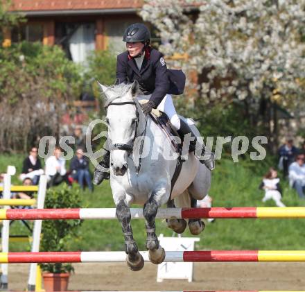 Reiten. Reit- und Springturnier. Marianne Schindele auf Coolys AJ. St. Veit, am 17.4.2011.
Foto: Kuess
---
pressefotos, pressefotografie, kuess, qs, qspictures, sport, bild, bilder, bilddatenbank