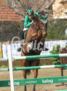 Reiten. Reit- und Springturnier. Markus Stock auf Aconit S. St. Veit, am 17.4.2011.
Foto: Kuess
---
pressefotos, pressefotografie, kuess, qs, qspictures, sport, bild, bilder, bilddatenbank