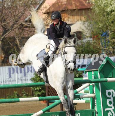 Reiten. Reit- und Springturnier. Marianne Schindele auf Coolys AJ. St. Veit, am 17.4.2011.
Foto: Kuess
---
pressefotos, pressefotografie, kuess, qs, qspictures, sport, bild, bilder, bilddatenbank