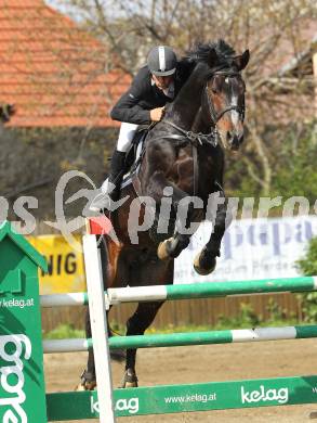 Reiten. Reit- und Springturnier. Florian Starzacher auf Continello. St. Veit, am 17.4.2011.
Foto: Kuess
---
pressefotos, pressefotografie, kuess, qs, qspictures, sport, bild, bilder, bilddatenbank