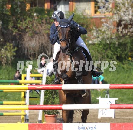 Reiten. Reit- und Springturnier. Fritz Kogelnig jun. auf Pedro 845. St. Veit, am 17.4.2011.
Foto: Kuess
---
pressefotos, pressefotografie, kuess, qs, qspictures, sport, bild, bilder, bilddatenbank