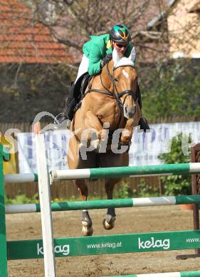 Reiten. Reit- und Springturnier. Dieter Koefler auf Glock s Prince de Vaux. St. Veit, am 17.4.2011.
Foto: Kuess
---
pressefotos, pressefotografie, kuess, qs, qspictures, sport, bild, bilder, bilddatenbank