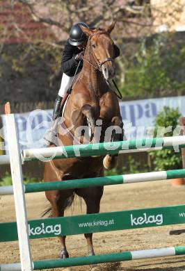 Reiten. Reit- und Springturnier. Franz Josef Rainer auf Lismon Dance. St. Veit, am 17.4.2011.
Foto: Kuess
---
pressefotos, pressefotografie, kuess, qs, qspictures, sport, bild, bilder, bilddatenbank