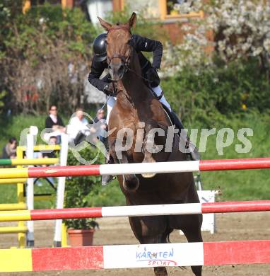 Reiten. Reit- und Springturnier. Franz Josef Rainer auf Lismon Dance. St. Veit, am 17.4.2011.
Foto: Kuess
---
pressefotos, pressefotografie, kuess, qs, qspictures, sport, bild, bilder, bilddatenbank