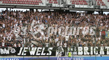 Fussball. UEFA Champions League. SK Sturm Graz gegen Videoton. Fans Graz. Klagenfurt, am 13.7.2011.
Foto: Kuess

---
pressefotos, pressefotografie, kuess, qs, qspictures, sport, bild, bilder, bilddatenbank