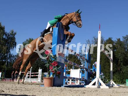 Reiten. Kaerntner Landesmeisterschaften. Dieter Koefler auf Golden Gun. Reifnitz, am 14.8.2011.
Foto: Kuess
---
pressefotos, pressefotografie, kuess, qs, qspictures, sport, bild, bilder, bilddatenbank