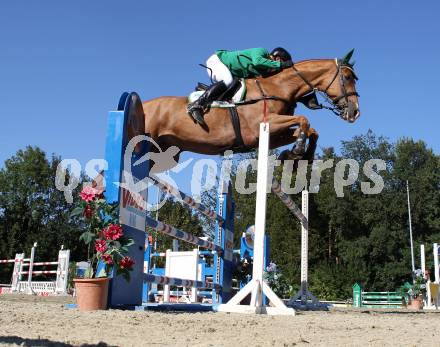 Reiten. Kaerntner Landesmeisterschaften. Dieter Koefler auf Golden Gun. Reifnitz, am 14.8.2011.
Foto: Kuess
---
pressefotos, pressefotografie, kuess, qs, qspictures, sport, bild, bilder, bilddatenbank