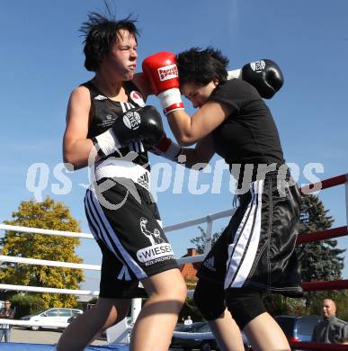 Boxen. Profiwettkaempfe. Ines Eichwalder (schwarze Handschuhe), Manuela Zulg (rote Handschuhe). Klagenfurt, am 16.10.2011.
Foto: Kuess
---
pressefotos, pressefotografie, kuess, qs, qspictures, sport, bild, bilder, bilddatenbank