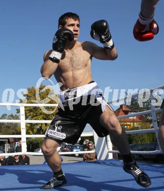 Boxen. Profiwettkampf. Dejan Milicevic. Klagenfurt, am 16.10.2011.
Foto: Kuess
---
pressefotos, pressefotografie, kuess, qs, qspictures, sport, bild, bilder, bilddatenbank