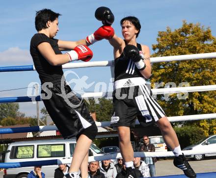 Boxen. Profiwettkaempfe. Ines Eichwalder (schwarze Handschuhe), Manuela Zulg (rote Handschuhe). Klagenfurt, am 16.10.2011.
Foto: Kuess
---
pressefotos, pressefotografie, kuess, qs, qspictures, sport, bild, bilder, bilddatenbank