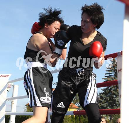 Boxen. Profiwettkaempfe. Ines Eichwalder (schwarze Handschuhe), Manuela Zulg (rote Handschuhe). Klagenfurt, am 16.10.2011.
Foto: Kuess
---
pressefotos, pressefotografie, kuess, qs, qspictures, sport, bild, bilder, bilddatenbank