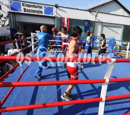 Boxen. Profiwettkaempfe. Schautraining. Klagenfurt, am 16.10.2011.
Foto: Kuess
---
pressefotos, pressefotografie, kuess, qs, qspictures, sport, bild, bilder, bilddatenbank