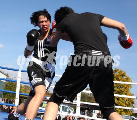 Boxen. Profiwettkaempfe. Ines Eichwalder (schwarze Handschuhe), Manuela Zulg (rote Handschuhe). Klagenfurt, am 16.10.2011.
Foto: Kuess
---
pressefotos, pressefotografie, kuess, qs, qspictures, sport, bild, bilder, bilddatenbank