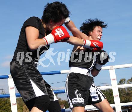 Boxen. Profiwettkaempfe. Ines Eichwalder (schwarze Handschuhe), Manuela Zulg (rote Handschuhe). Klagenfurt, am 16.10.2011.
Foto: Kuess
---
pressefotos, pressefotografie, kuess, qs, qspictures, sport, bild, bilder, bilddatenbank