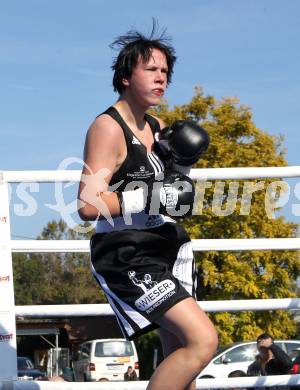 Boxen. Profiwettkaempfe. Ines Eichwalder. Klagenfurt, am 16.10.2011.
Foto: Kuess
---
pressefotos, pressefotografie, kuess, qs, qspictures, sport, bild, bilder, bilddatenbank