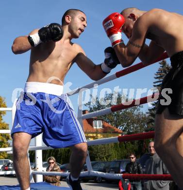 Boxen. Profiwettkaempfe. Ando Sarkisian (schwarze Handschuhe), Ante Silgeg (rote Handschuhe). Klagenfurt, am 16.10.2011.
Foto: Kuess
---
pressefotos, pressefotografie, kuess, qs, qspictures, sport, bild, bilder, bilddatenbank