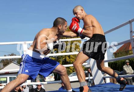 Boxen. Profiwettkaempfe. Ando Sarkisian (schwarze Handschuhe), Ante Silgeg (rote Handschuhe). Klagenfurt, am 16.10.2011.
Foto: Kuess
---
pressefotos, pressefotografie, kuess, qs, qspictures, sport, bild, bilder, bilddatenbank