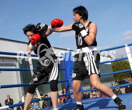 Boxen. Profiwettkaempfe. Ines Eichwalder (schwarze Handschuhe), Manuela Zulg (rote Handschuhe). Klagenfurt, am 16.10.2011.
Foto: Kuess
---
pressefotos, pressefotografie, kuess, qs, qspictures, sport, bild, bilder, bilddatenbank