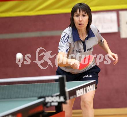 Tischtennis Bundesliga. Minerova (TTC Villacher). Villach, am 5.11.2011.
Foto: Kuess
---
pressefotos, pressefotografie, kuess, qs, qspictures, sport, bild, bilder, bilddatenbank