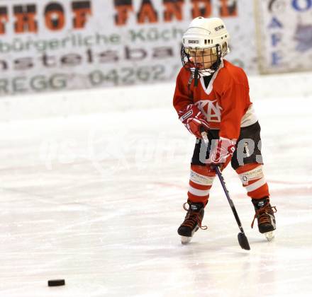 Eishockey. Kaerntner Eishockey Landesverband. Nachwuchsmeisterschaft.  Althofen, am 25.11.2011.
Foto: Kuess
---
pressefotos, pressefotografie, kuess, qs, qspictures, sport, bild, bilder, bilddatenbank