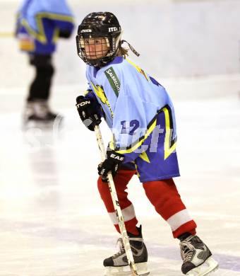 Eishockey. Kaerntner Eishockey Landesverband. Nachwuchsmeisterschaft.  Althofen, am 25.11.2011.
Foto: Kuess
---
pressefotos, pressefotografie, kuess, qs, qspictures, sport, bild, bilder, bilddatenbank