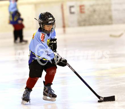 Eishockey. Kaerntner Eishockey Landesverband. Nachwuchsmeisterschaft. Althofen, am 25.11.2011.
Foto: Kuess
---
pressefotos, pressefotografie, kuess, qs, qspictures, sport, bild, bilder, bilddatenbank