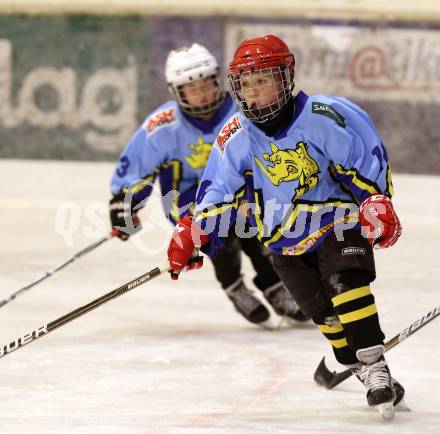 Eishockey. Kaerntner Eishockey Landesverband. Nachwuchs Althofen. Althofen, am 25.11.2011.
Foto: Kuess
---
pressefotos, pressefotografie, kuess, qs, qspictures, sport, bild, bilder, bilddatenbank