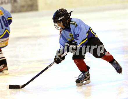 Eishockey. Kaerntner Eishockey Landesverband. Nachwuchsmeisterschaft.  Althofen, am 25.11.2011.
Foto: Kuess
---
pressefotos, pressefotografie, kuess, qs, qspictures, sport, bild, bilder, bilddatenbank