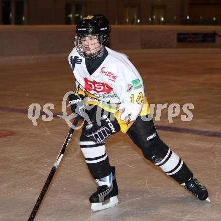 Eishockey. Nachwuchsmeisterschaft. EC Spittal U15. Daniel Walker. Spittal, am 2.12 2011.
Foto: Kuess  
---
pressefotos, pressefotografie, kuess, qs, qspictures, sport, bild, bilder, bilddatenbank