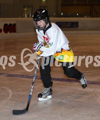 Eishockey. Nachwuchsmeisterschaft. EC Spittal U15. Elias Prax. Spittal, am 2.12 2011.
Foto: Kuess  
---
pressefotos, pressefotografie, kuess, qs, qspictures, sport, bild, bilder, bilddatenbank