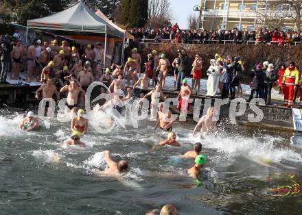 Neujahrsschwimmen. Velden, am 1.1.2012.
Foto: Kuess
---
pressefotos, pressefotografie, kuess, qs, qspictures, sport, bild, bilder, bilddatenbank