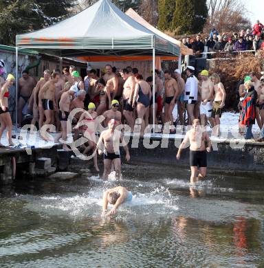 Neujahrsschwimmen. Velden, am 1.1.2012.
Foto: Kuess
---
pressefotos, pressefotografie, kuess, qs, qspictures, sport, bild, bilder, bilddatenbank