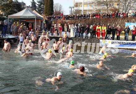 Neujahrsschwimmen. Velden, am 1.1.2012.
Foto: Kuess
---
pressefotos, pressefotografie, kuess, qs, qspictures, sport, bild, bilder, bilddatenbank