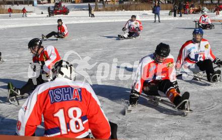 Behindertensport. Sledgehockey. Vergleichskampf Kaernten gegen St. Poelten. Rauschele See, am 21.1.2012.
Foto: Kuess
---
pressefotos, pressefotografie, kuess, qs, qspictures, sport, bild, bilder, bilddatenbank