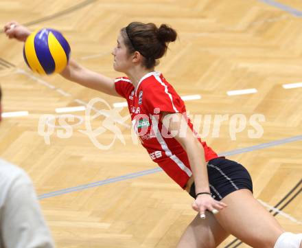 Volleyball BUndesliga. WVL. ATSC Wildcats gegen VC Tirol. Sonja Katz (Wildcats). Klagenfurt, 22.2.2012.
Foto: Kuess
---
pressefotos, pressefotografie, kuess, qs, qspictures, sport, bild, bilder, bilddatenbank