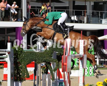 Springreiten. Staatsmeisterschaft Mannschaft. Dieter Koefler. Treffen, am 22.6.2012.
Foto: Kuess

---
pressefotos, pressefotografie, kuess, qs, qspictures, sport, bild, bilder, bilddatenbank