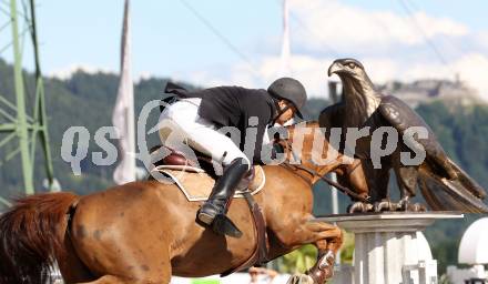 Springreiten. Staatsmeisterschaft Mannschaft. Georg Hladik (NOE). Treffen, am 22.6.2012.
Foto: Kuess

---
pressefotos, pressefotografie, kuess, qs, qspictures, sport, bild, bilder, bilddatenbank