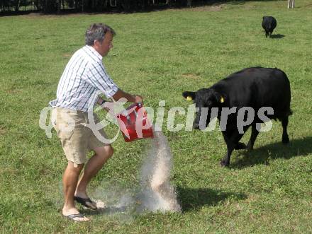 Schi Alpin. Fritz Strobl. 40. Geburtstag. Gerlamoos, am 22.8.2012.
Foto: Kuess
---
pressefotos, pressefotografie, kuess, qs, qspictures, sport, bild, bilder, bilddatenbank