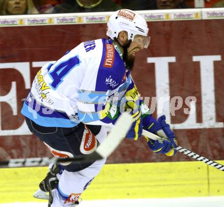 EBEL. Eishockey Bundesliga. EC KAC gegen VSV.  Markus Peintner  (VSV). Klagenfurt, am 14.10.2012.
Foto: Kuess 


---
pressefotos, pressefotografie, kuess, qs, qspictures, sport, bild, bilder, bilddatenbank