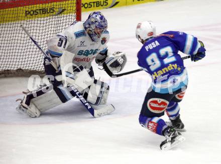 EBEL. Eishockey Bundesliga. EC VSV gegen SAPA Fehervar AV19.  Antti Pusa (VSV), Adam Munro (SAPA Fehervar). Villach, am 18.11.2012.
Foto: Kuess 


---
pressefotos, pressefotografie, kuess, qs, qspictures, sport, bild, bilder, bilddatenbank